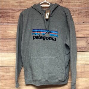 Patagonia Men's Gray Hoodie with Colorful Logo